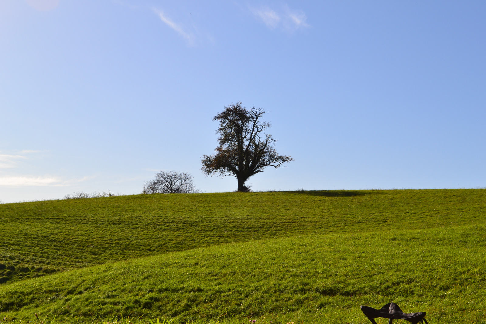 Seminar Jörg 19.10 002